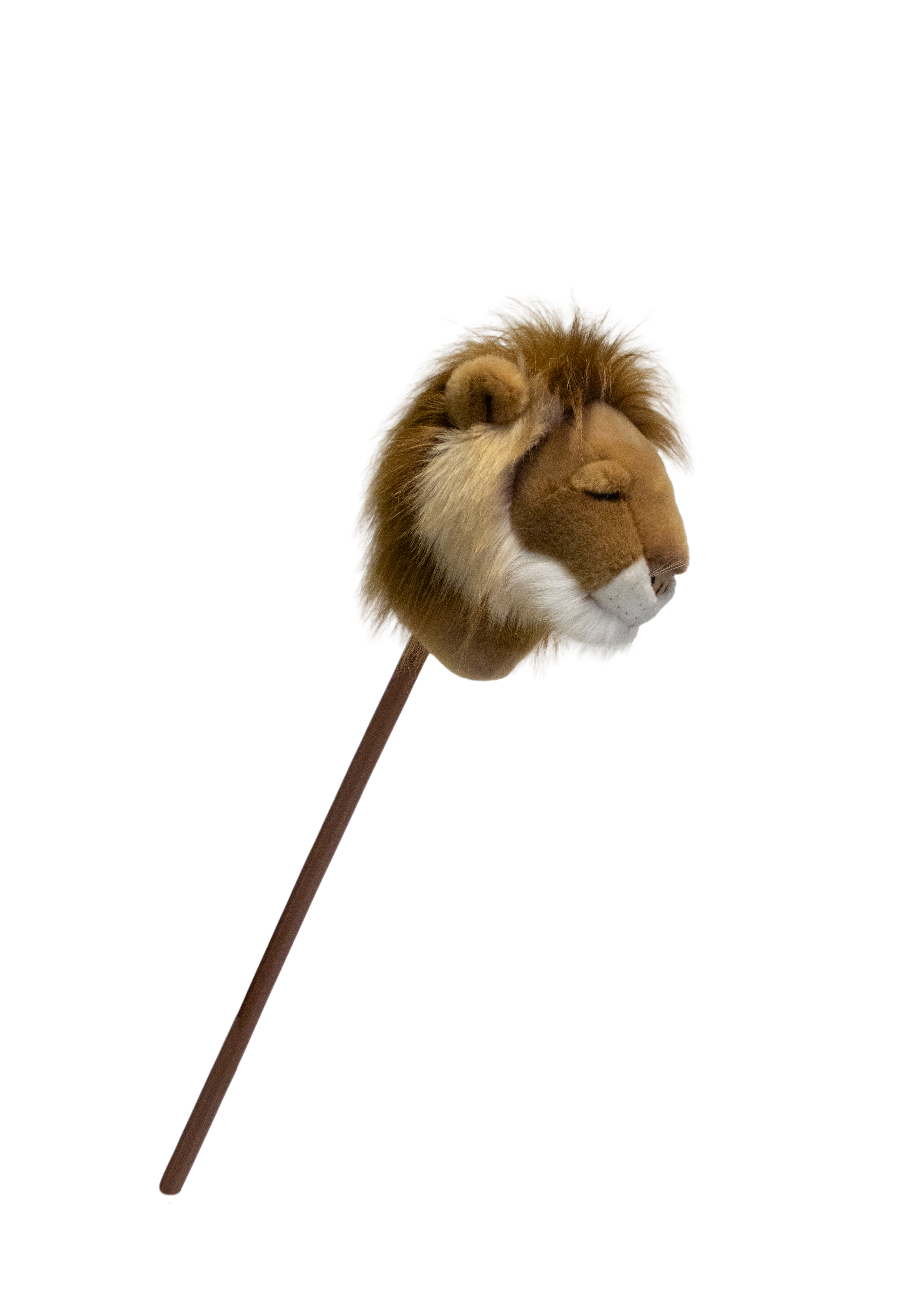 Sopa Oyuncak, Aslan