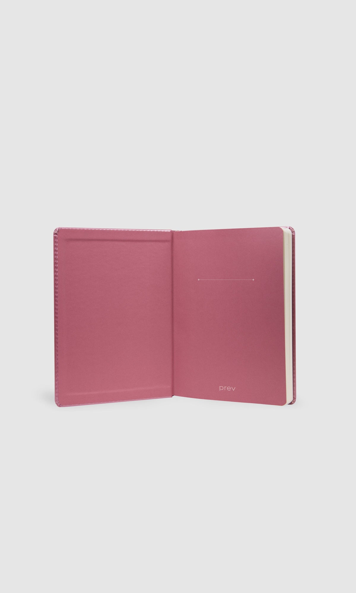 Bullet Journal - Bloom