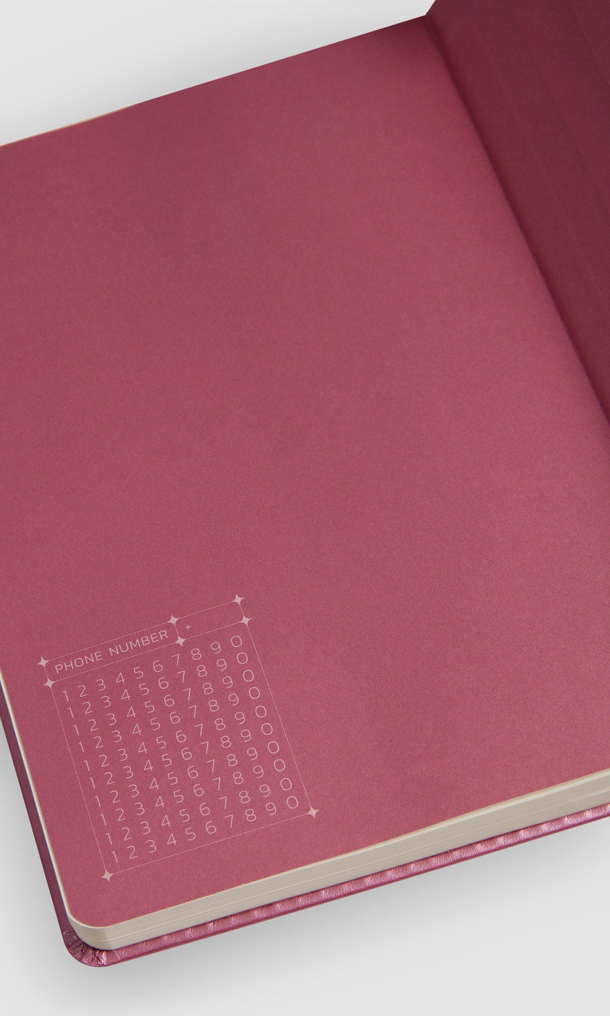 Bullet Journal - Bloom