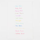 Zebra-Clickart Retractable Sign 12'li Kalem Seti 0.6 Mm Lt-Kalem Seti-3-Milagron.com