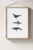 Zeynep Akdemir | Creative Studio-Whales Artprint-Baskı-1-Milagron.com