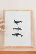 Zeynep Akdemir | Creative Studio-Whales Artprint-Baskı-2-Milagron.com