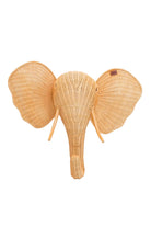 Zoa Collection-Fil Rattan Duvar Dekoru-Duvar Dekorları-1-Milagron.com