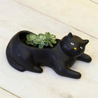 Kikkerland Cosmo The Black Cat Planter Vazo