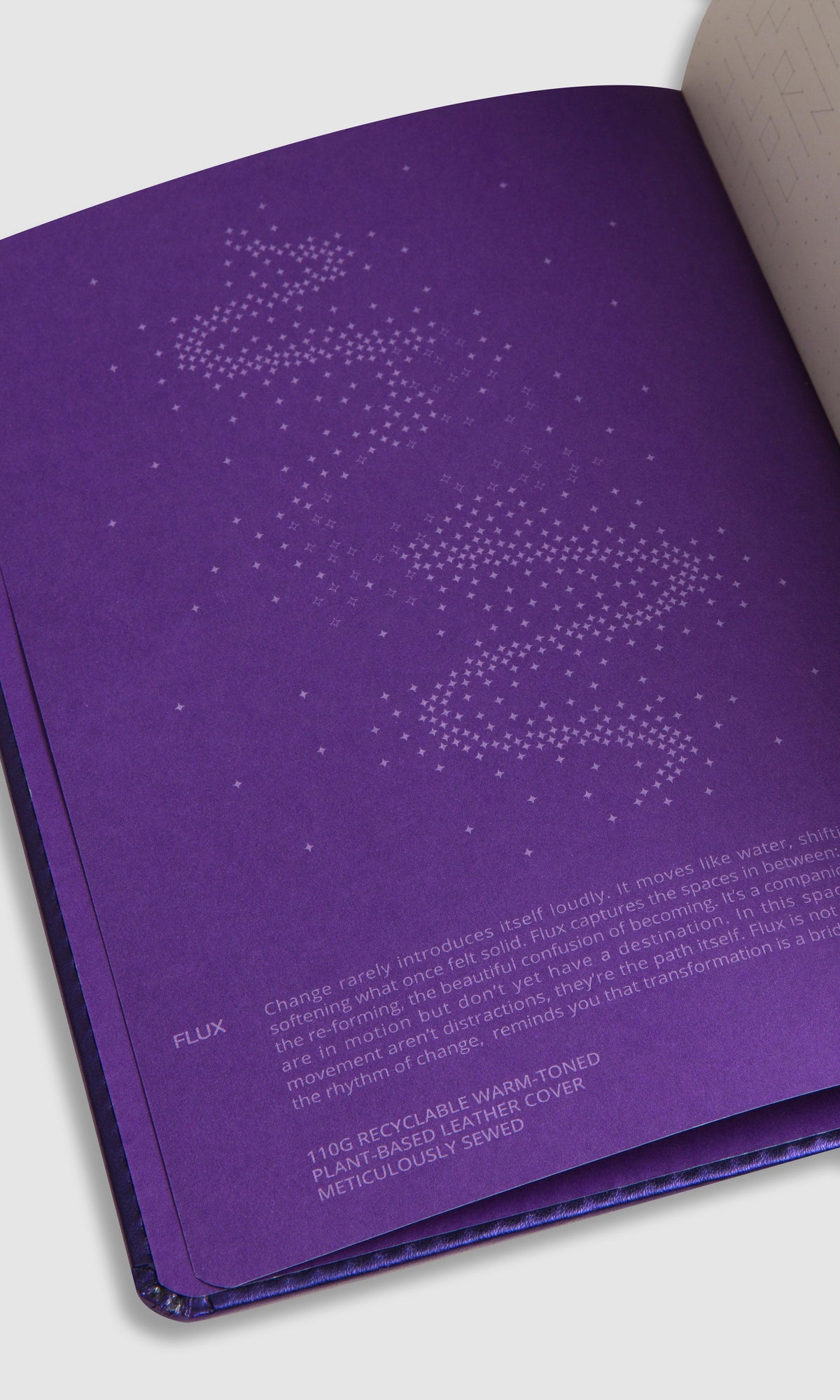 Bullet Journal - Flux