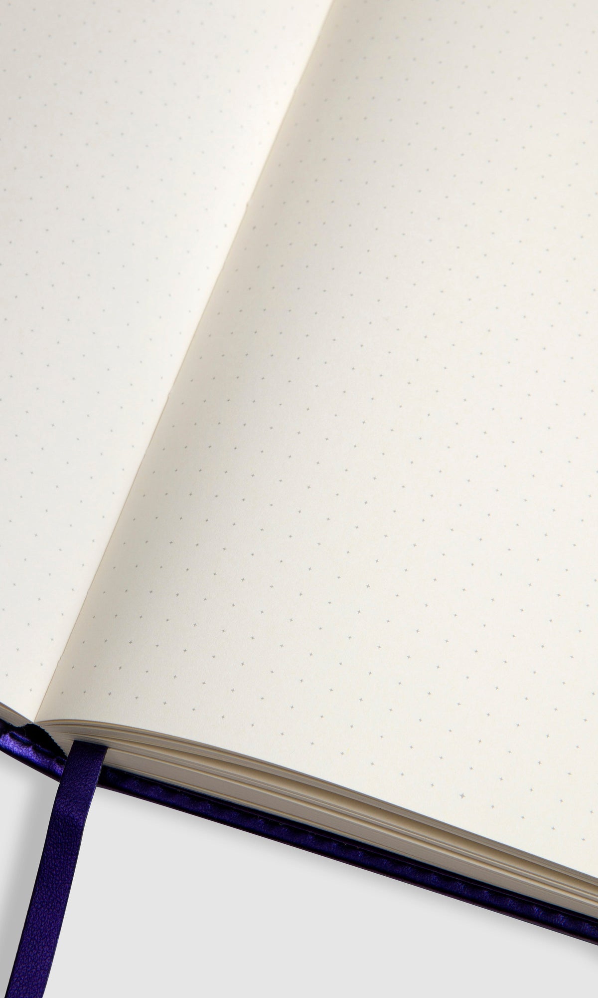 Bullet Journal - Flux