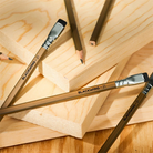 Palomino Blackwing Volume 21 Firm 12'Li Ahşap Kurşun Kalem Seti