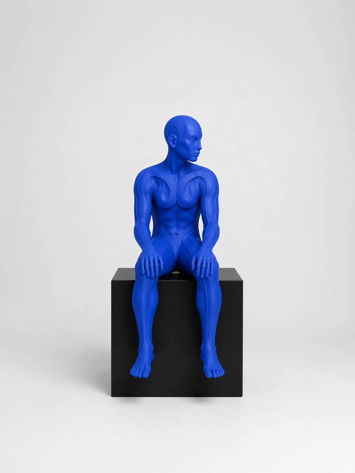 Afterflow | Heykel Obje