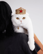 Golden Star Tiara For Felines