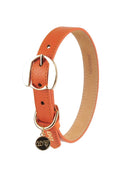 Hachiko Dog Collar