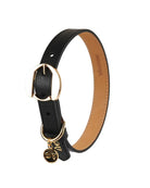 Hachiko Dog Collar