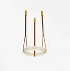 Aurelia Avize S
