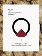 Soapy Co. Densifying Saç Serumu