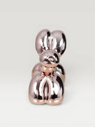 Ballo Dog Obje - Pink