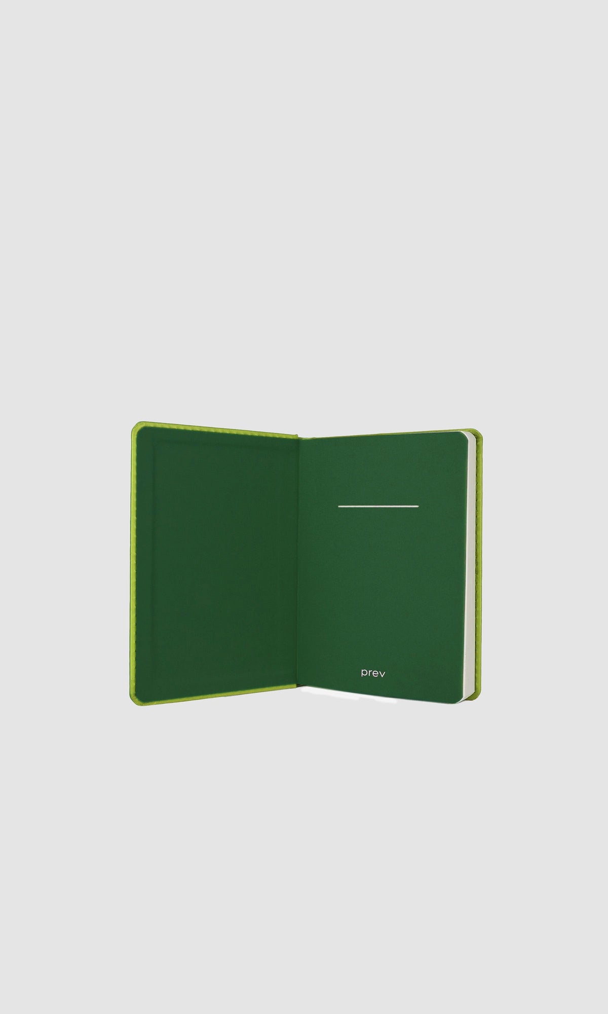 Notebook - Counting Lives Mini