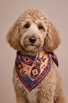 Solara Bandana - 2