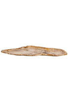 Dekoratif Bowl Fosil Ağaç -58 Cm X 37 Cm X 3 Cm - 2