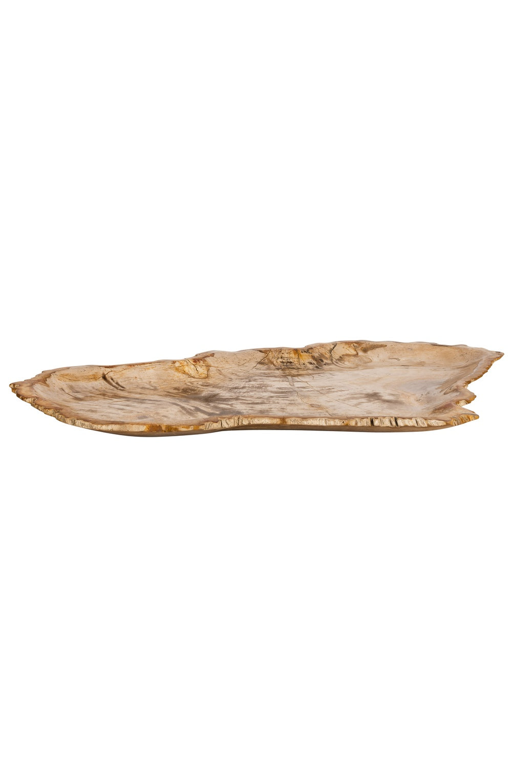 Dekoratif Bowl Fosil Ağaç -58 Cm X 37 Cm X 3 Cm - 3