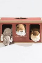 Duvar Aksesuarı, Mini Safari Set - 0