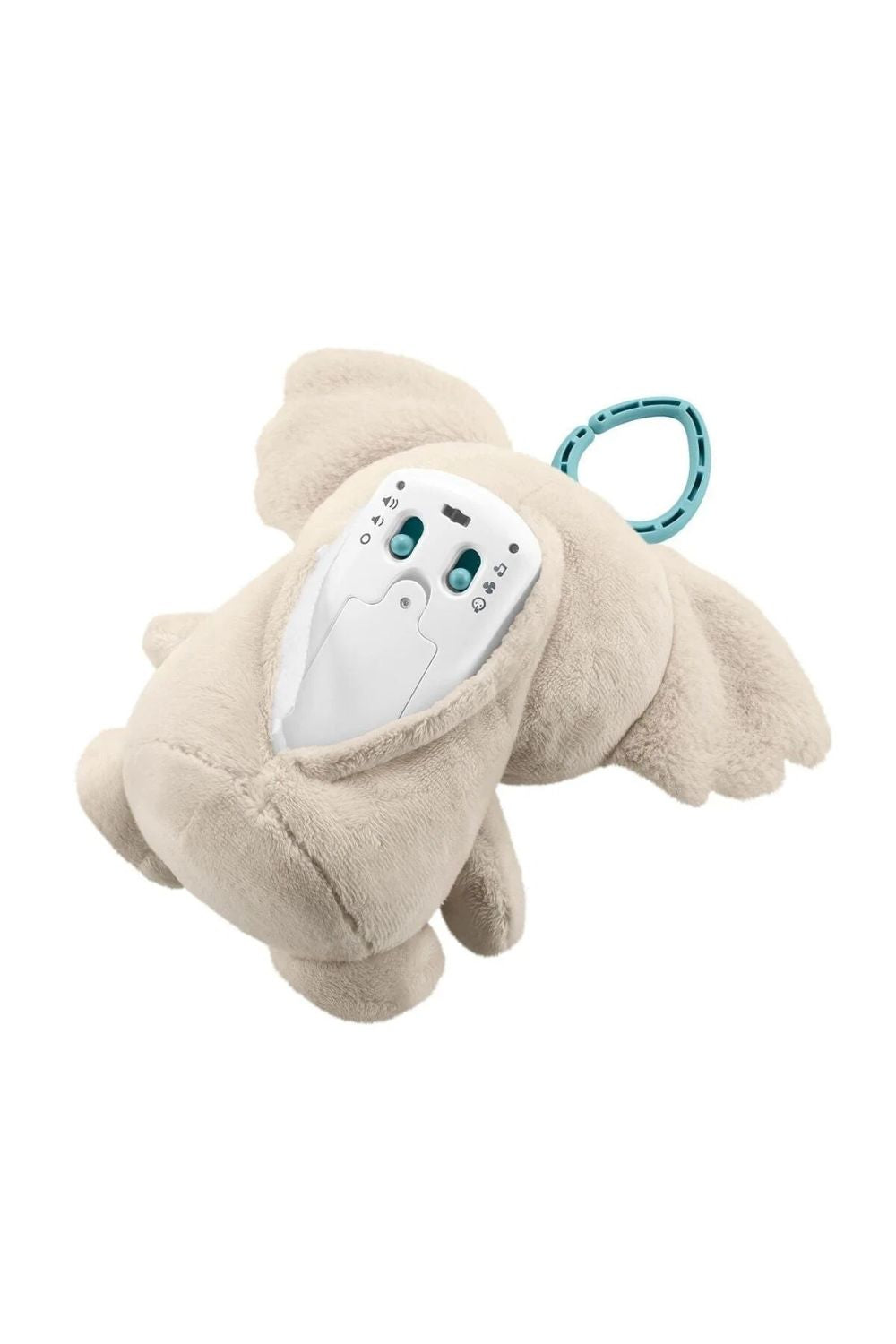 Koala Arkadaşım - 2