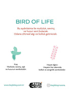 Bird Of Life Başucu Aydınlatma Başlığı Mint Yeşili - 16x20 Cm - 4