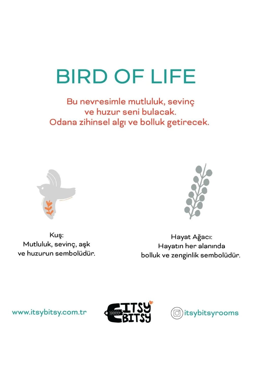 Bird Of Life Pamuk Saten Gri Çocuk Çarşaf Seti 90x190 Cm - 3