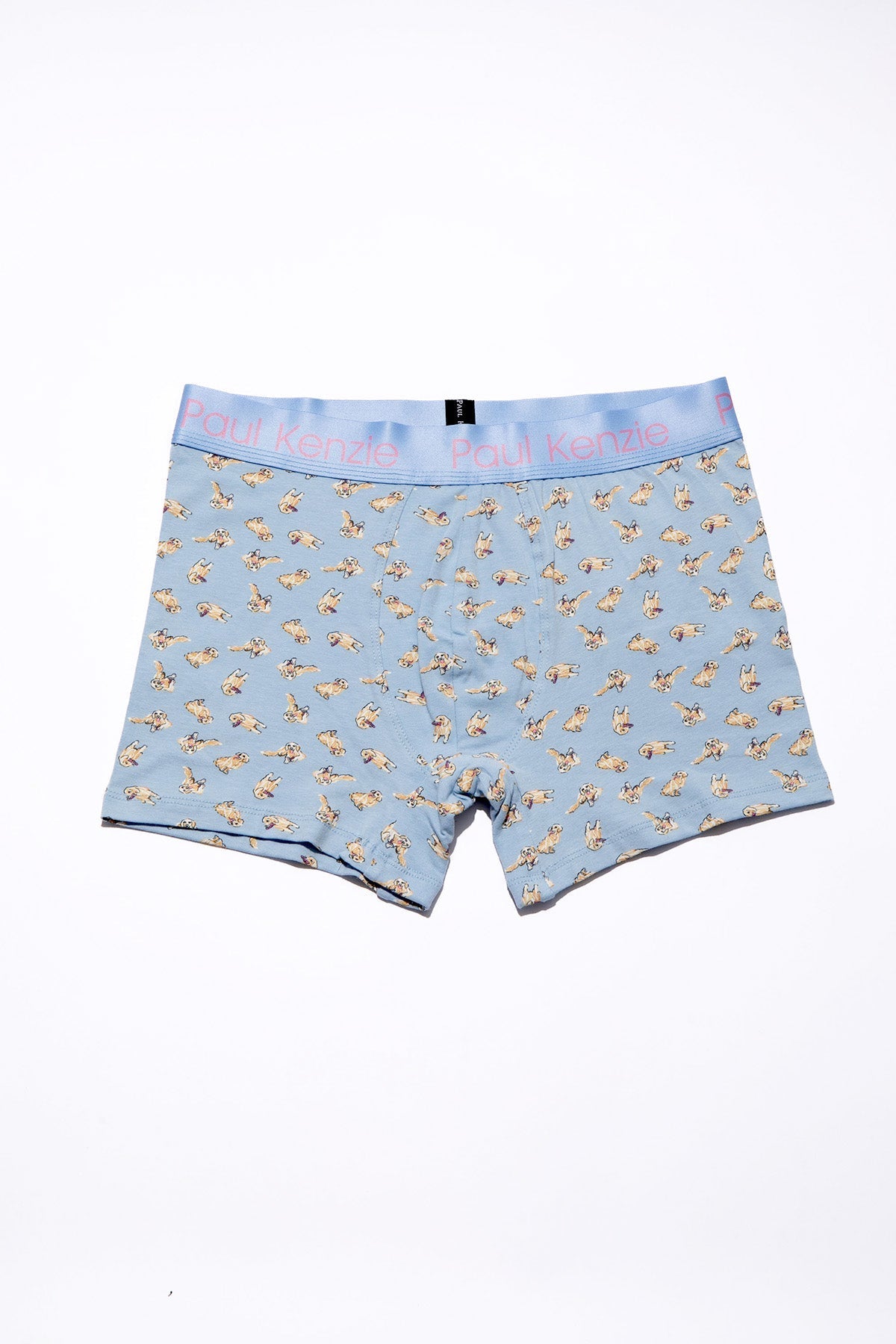 X Kurtaran Ev Desenli Erkek Boxer Poppy - 0