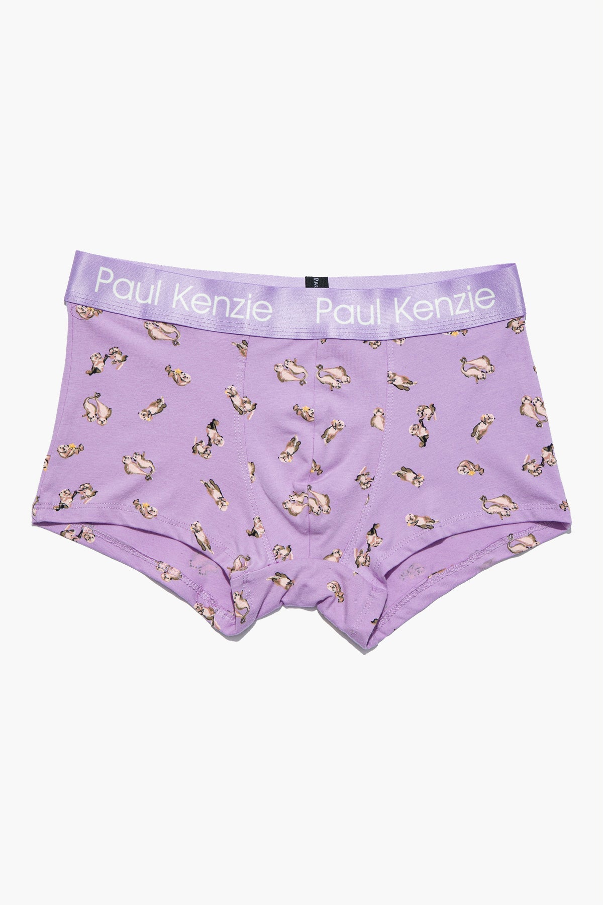 Erkek Trunk Boxer, Otter - 0