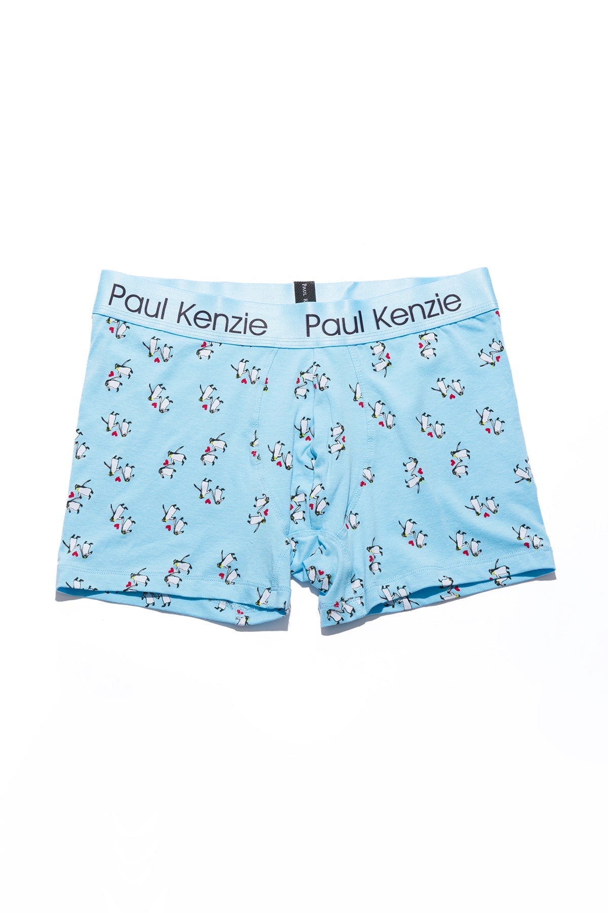 Couple Collection Desenli Erkek Boxer, Penguin Love - 0
