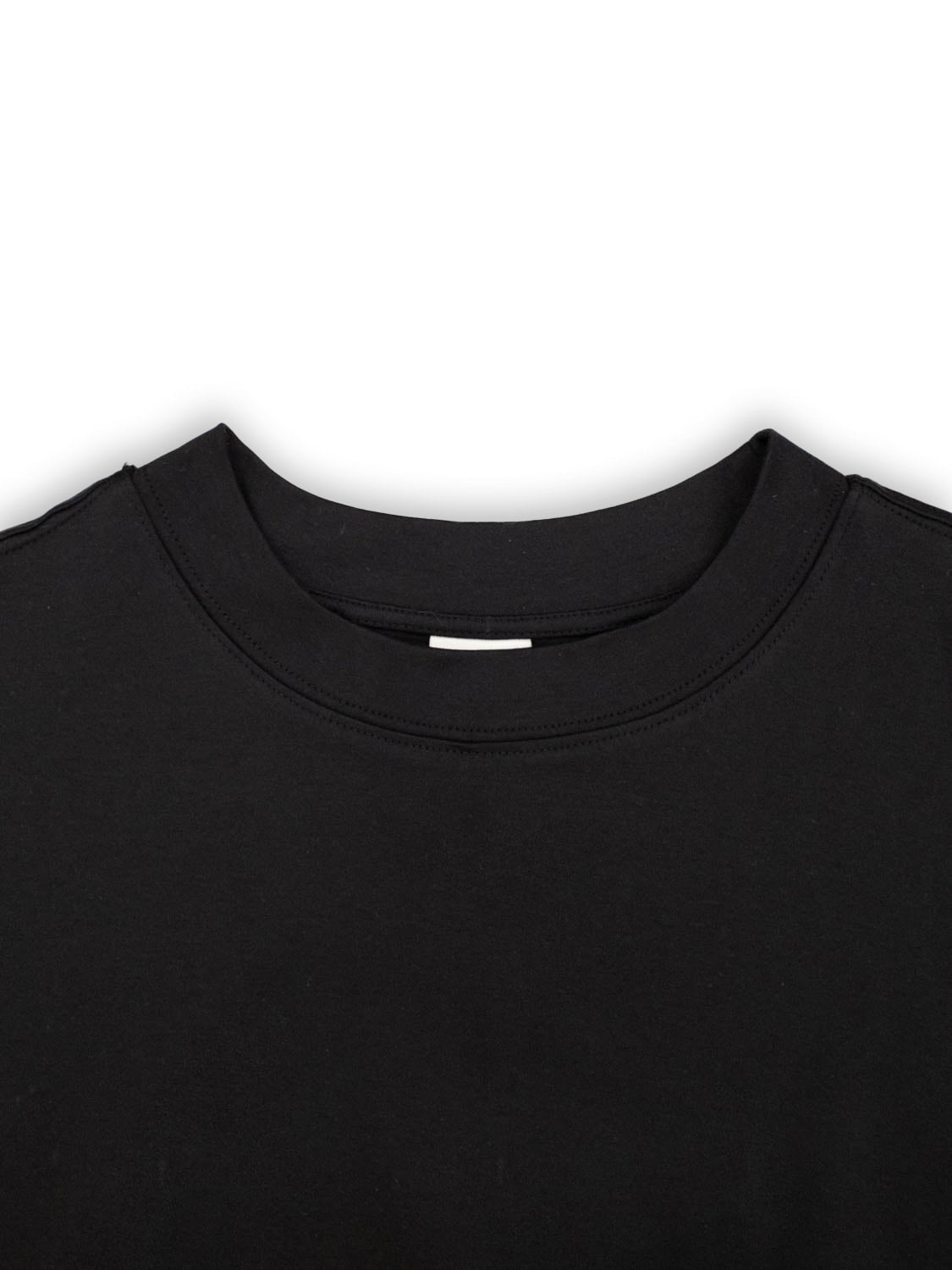 Organik Penye Basic Siyah Regular T-Shirt - 2