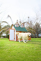 Ultra Lüks Ahşap Köpek Kulübesi (Evi) - 3