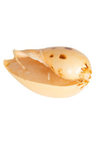 Ürün Görseli