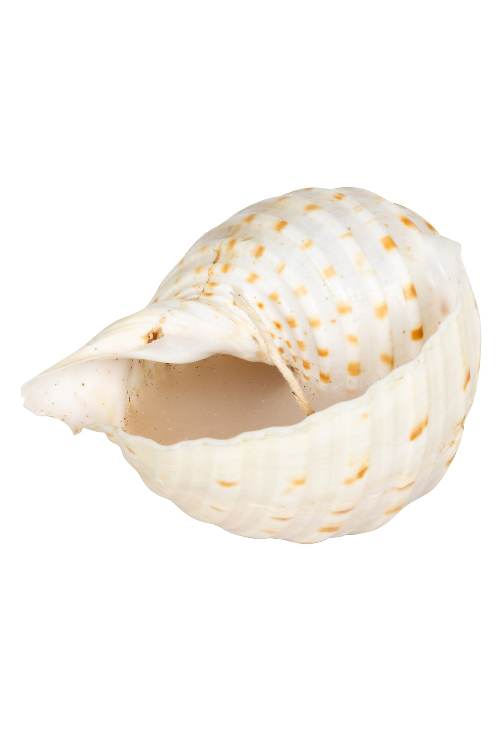 Ürün Görseli