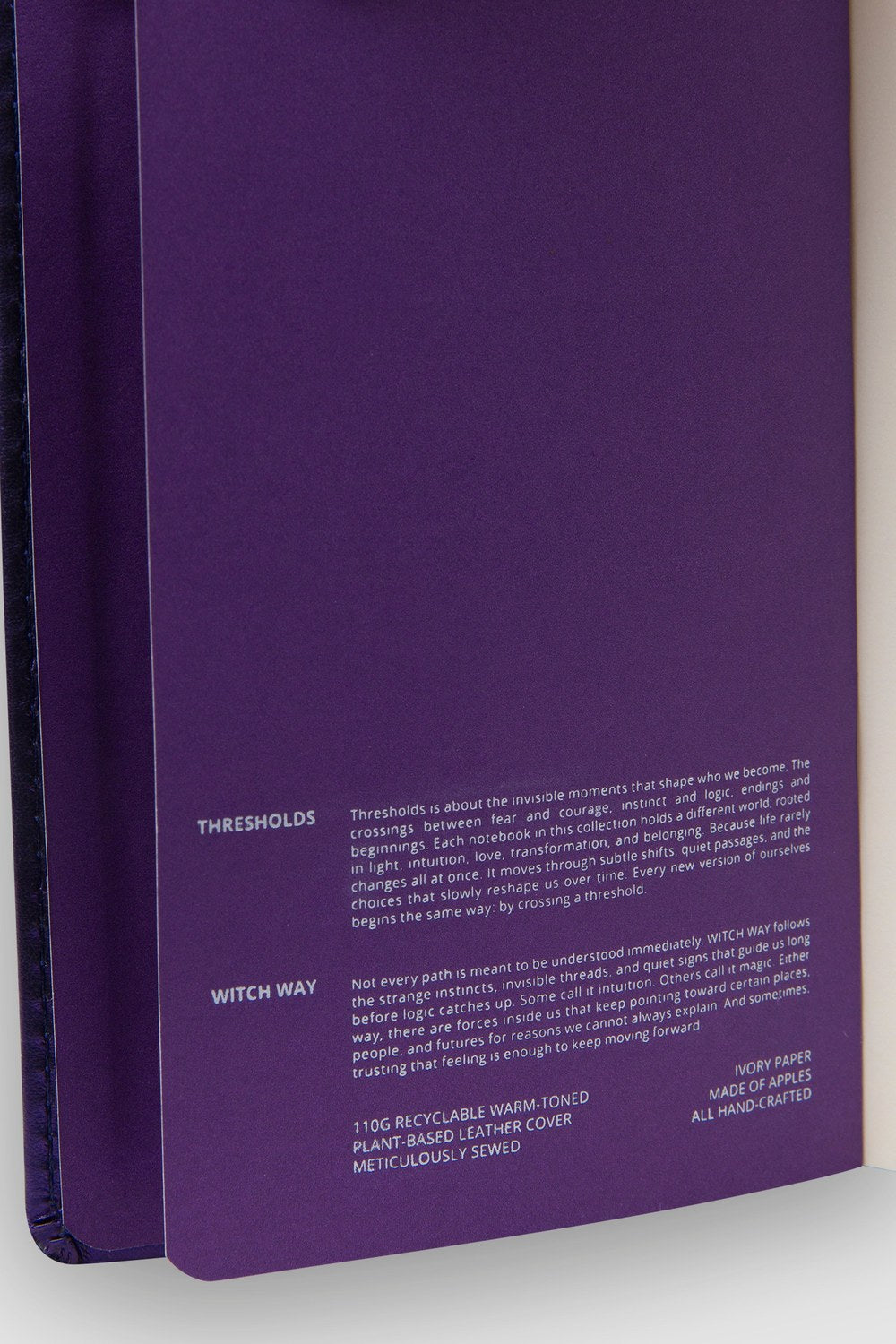 Witch Way Defter – A5 Elma Derisi Ciltli - 5