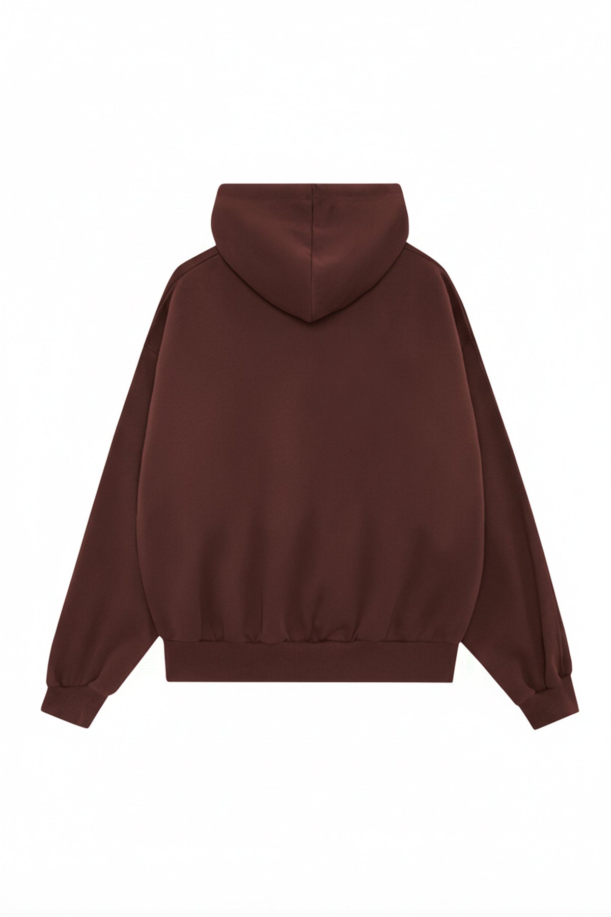Kapüşonlu Logo Nakışlı Sweatshirt, Kahverengi - 1