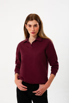 Polo Yaka Logo Nakışlı Sweatshirt, Bordo - 2