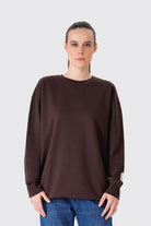 Regular Fit Logo Nakışlı Sweatshirt, Kahverengi - 1