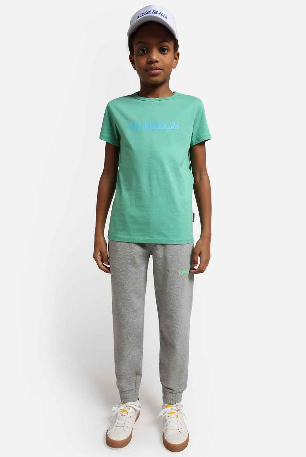 Napapijri | Short Sleeve T-Shirt Box Green Spruce 2 | Milagron
