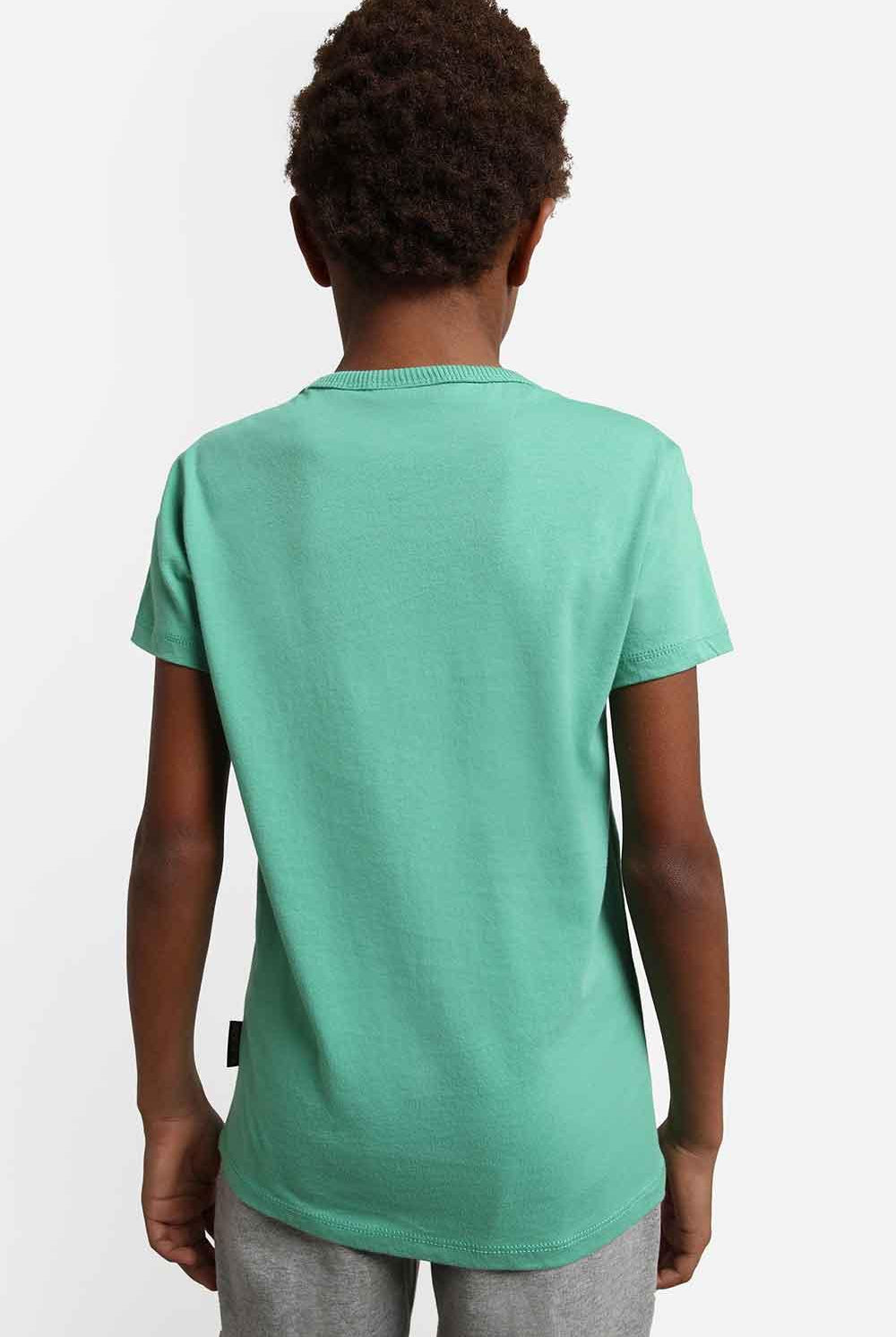 Napapijri | Short Sleeve T-Shirt Box Green Spruce 3 | Milagron