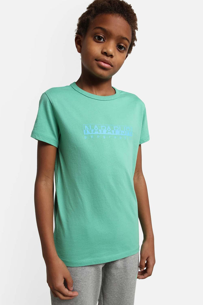 Napapijri | Short Sleeve T-Shirt Box Green Spruce 5 | Milagron