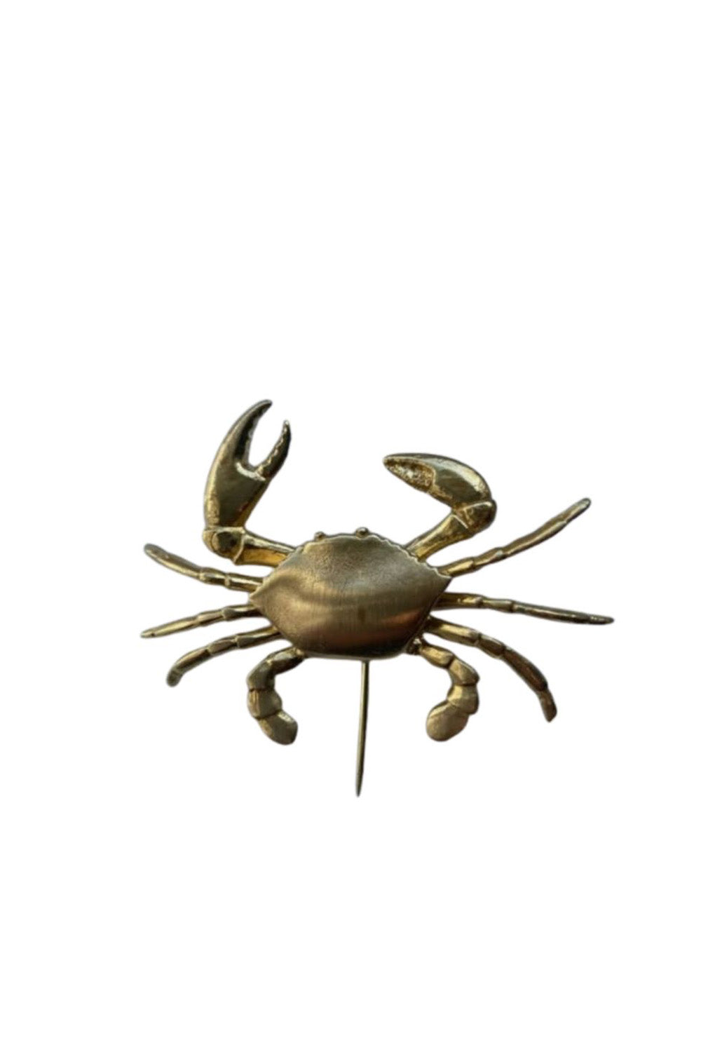 Morning Blue-Crab Broş-Broş-1-Milagron.com