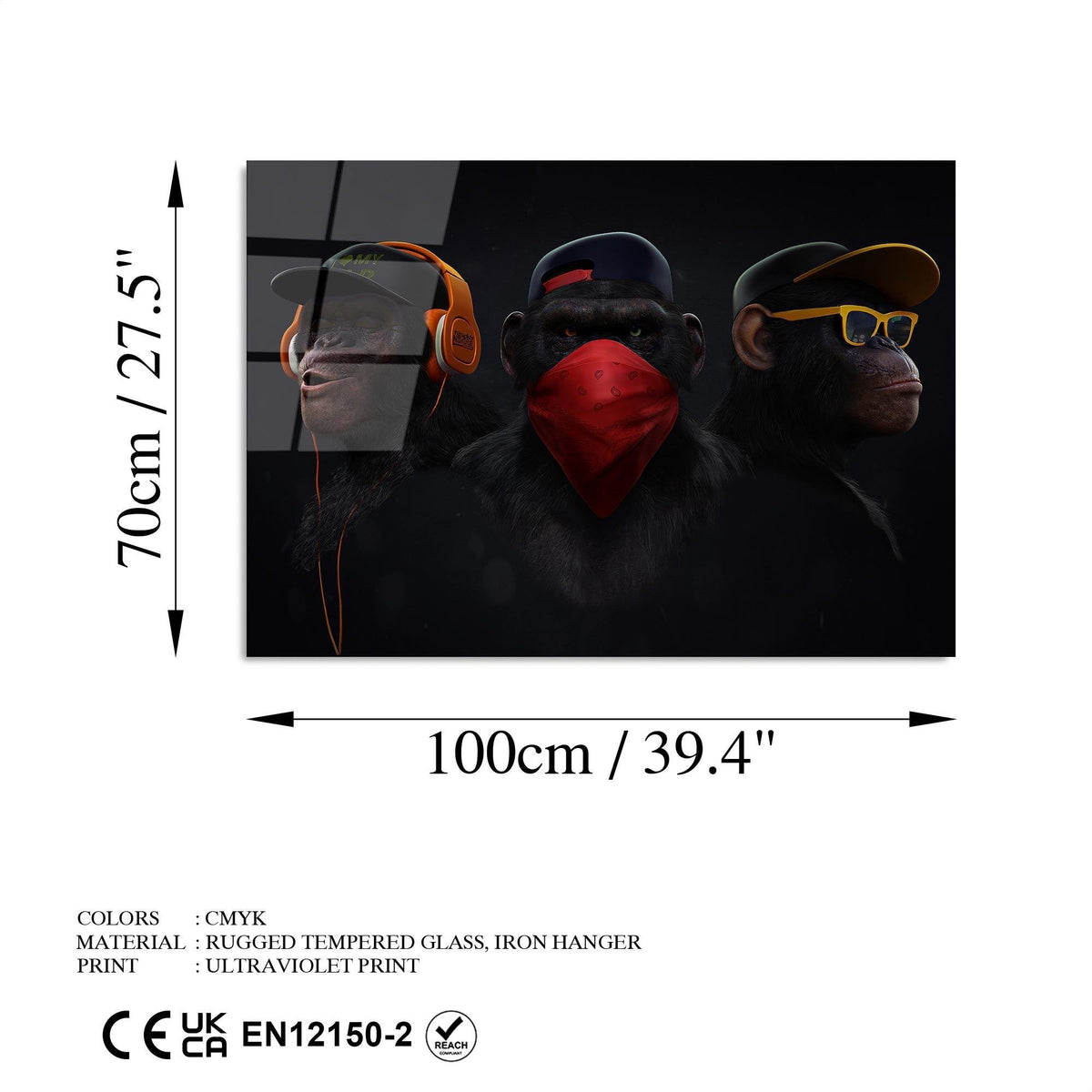 Uv-049 Baskılı Cam Dikdörtgen Duvar Tablosu 