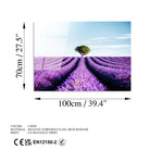 Uv-107 Baskılı Cam Dikdörtgen Duvar Tablosu 