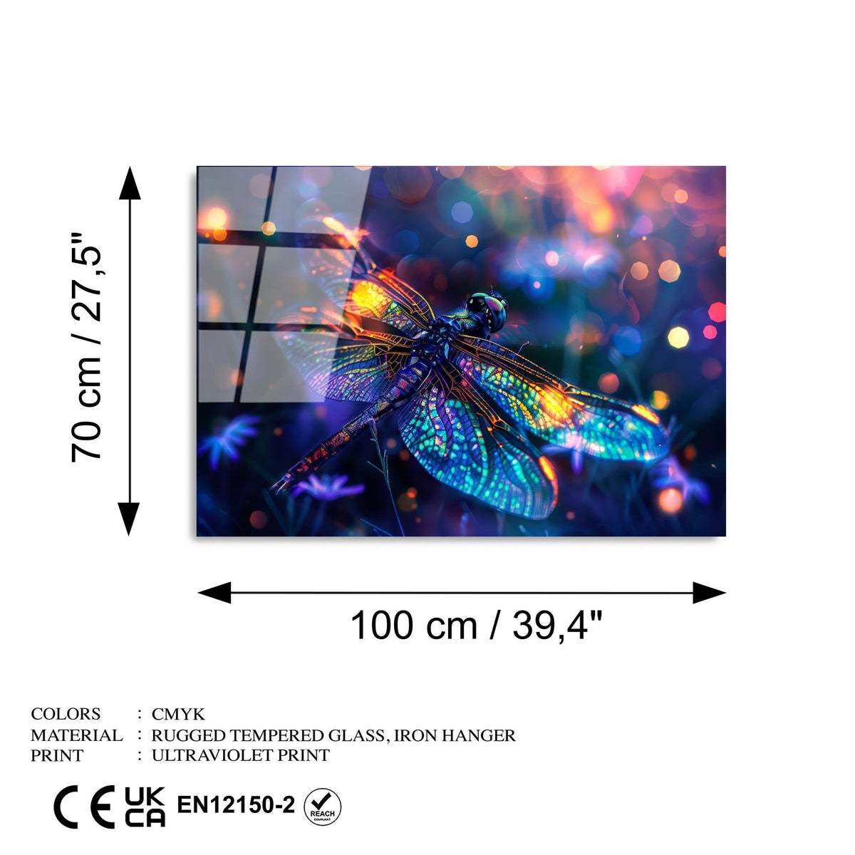 Uv-1194 Baskılı Cam Dikdörtgen Duvar Tablosu 