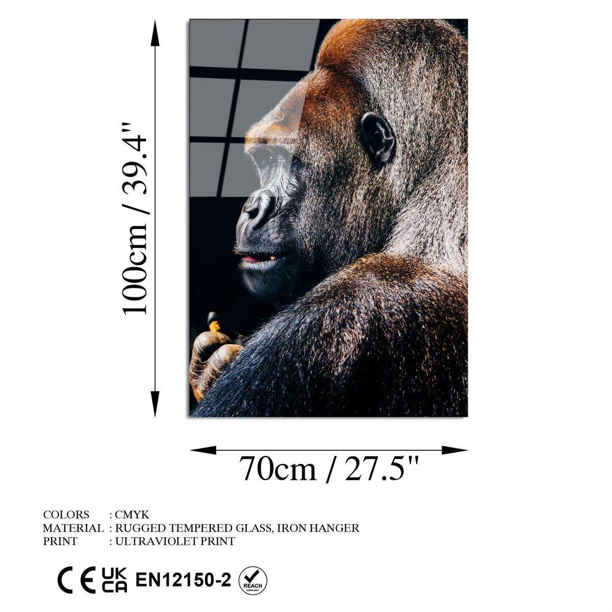 Uv-145 Baskılı Cam Dikdörtgen Duvar Tablosu 