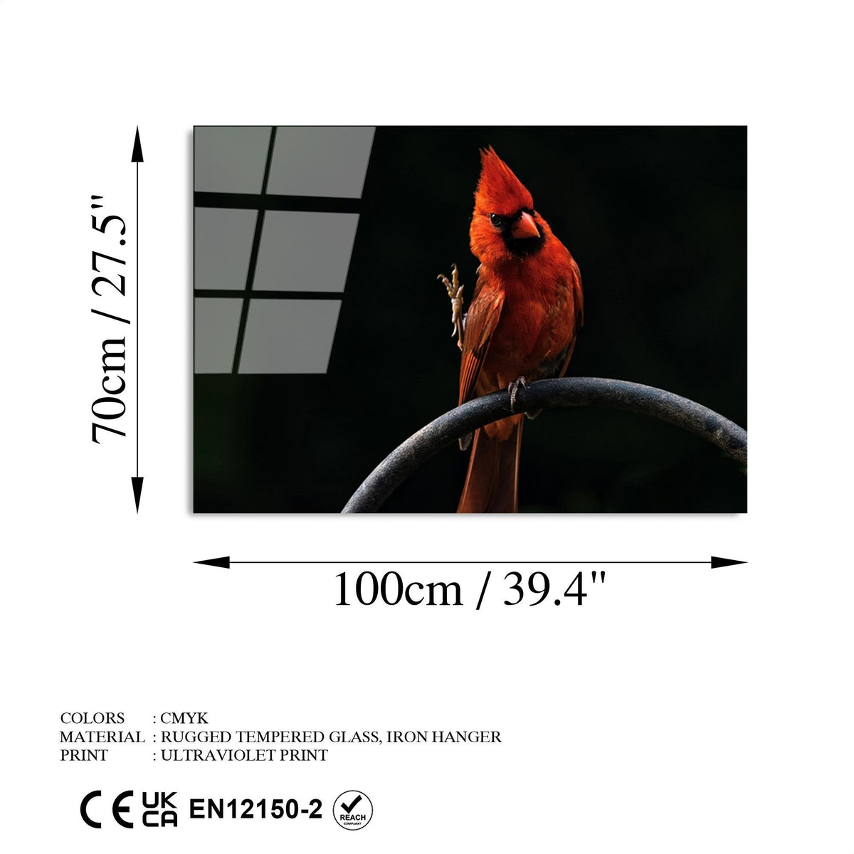 Uv-146 Baskılı Cam Dikdörtgen Duvar Tablosu 