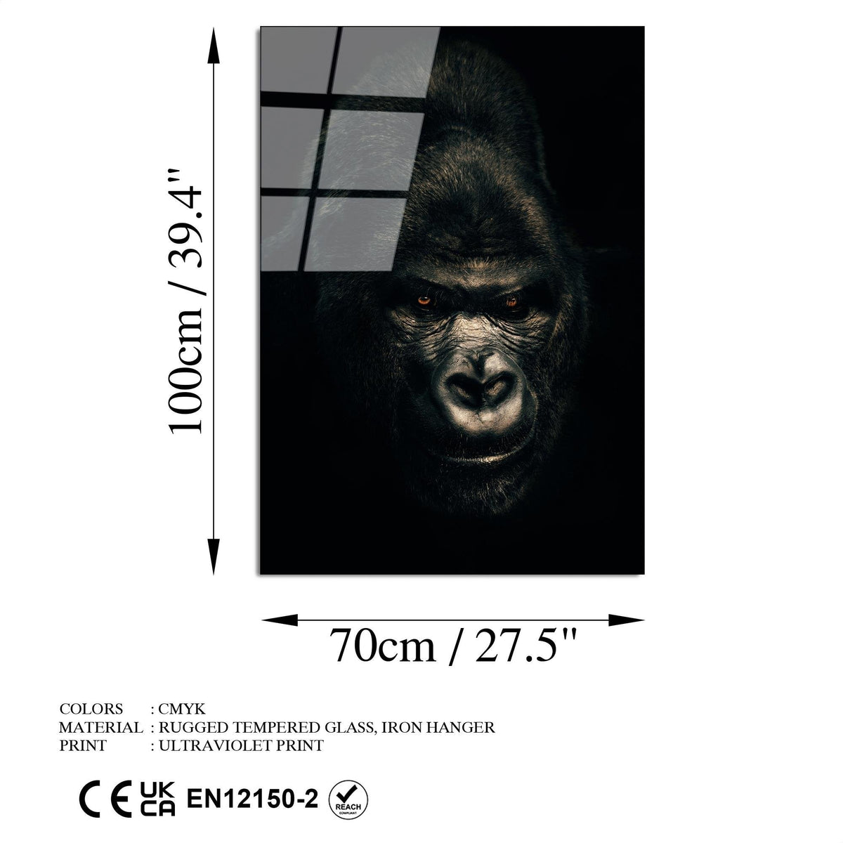 Uv-160 Baskılı Cam Dikdörtgen Duvar Tablosu 