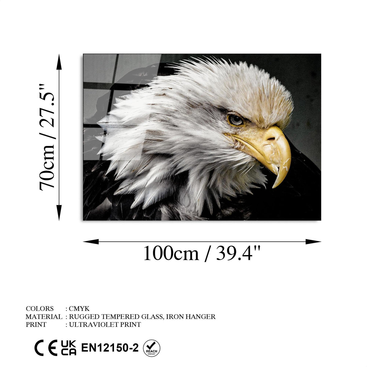Uv-162 Baskılı Cam Dikdörtgen Duvar Tablosu 