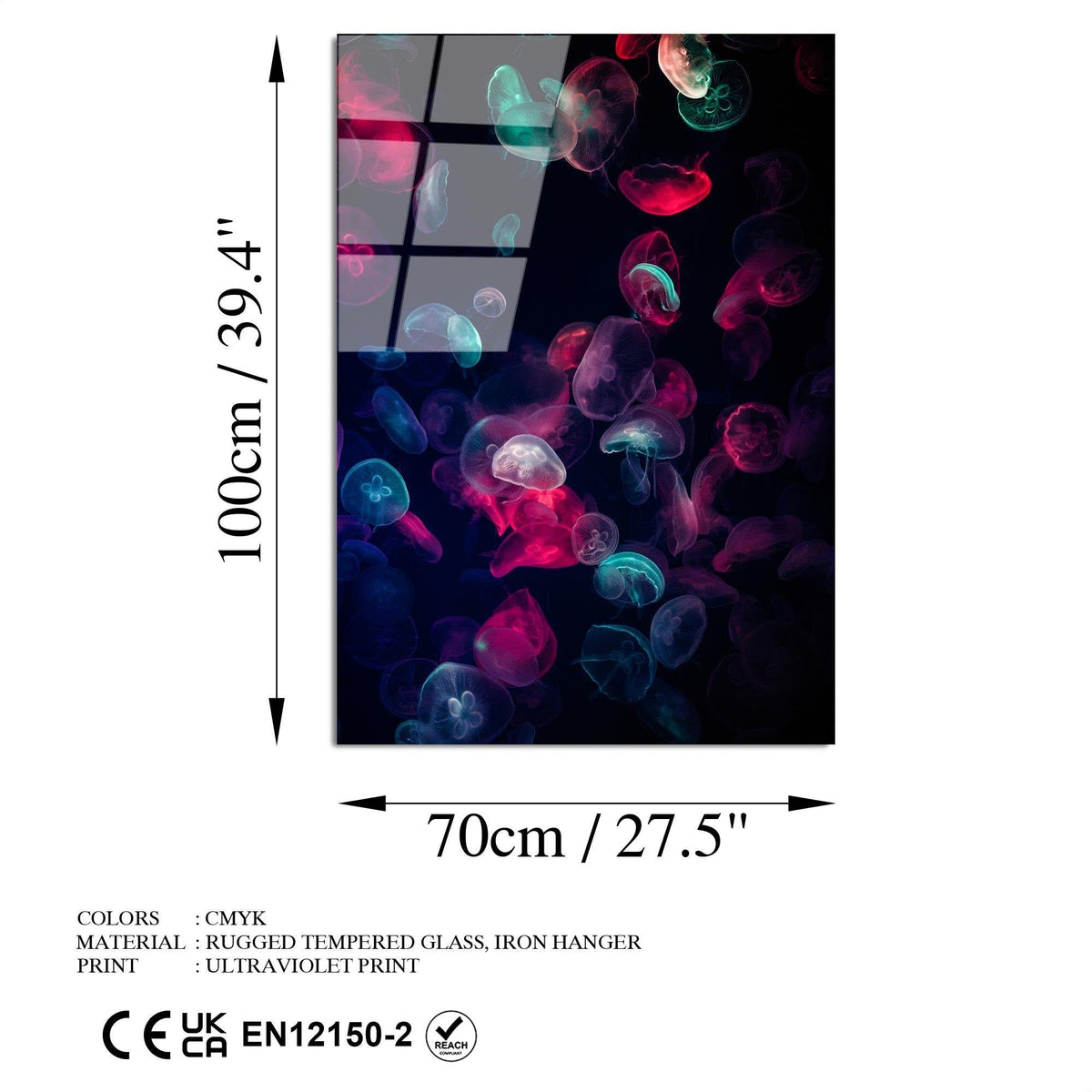 Uv-164 Baskılı Cam Dikdörtgen Duvar Tablosu 
