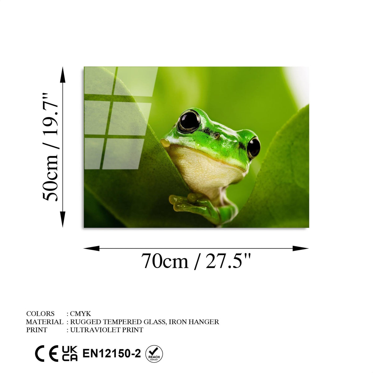 Uv-271 Baskılı Cam Dikdörtgen Duvar Tablosu 